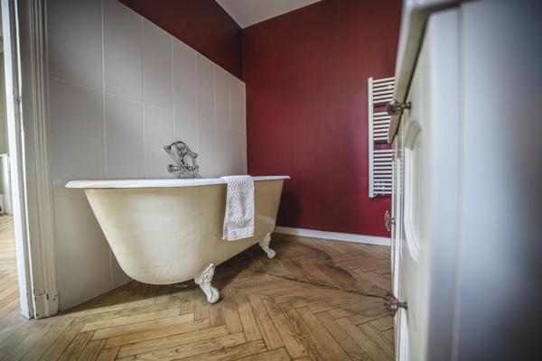 Decazeville (12300) Château, maison d'hôtes, proche du village de Conques, tour circulaire, jardin d'hiver, parc, piscine