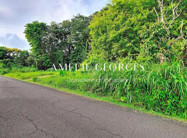 Terrain rare 4430 m2 - Saint Joseph