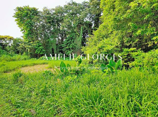 Terrain rare 4430 m2 - Saint Joseph