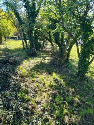 Maison à CLUIS (36340)