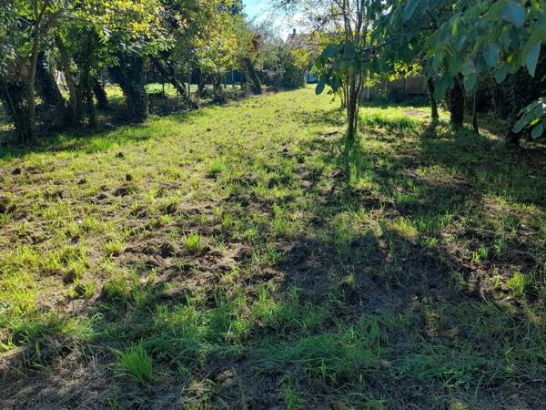 Maison à CLUIS (36340)