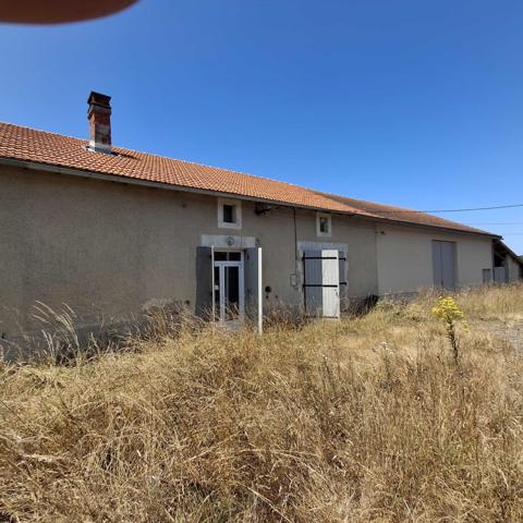 MAISON EN PIERRES AVEC GRANGE ATTENANTE, PREAU ET TERRAIN
