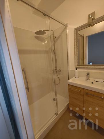 STUDIO MEUBLE - PLEIN CENTRE Rue des Vieilles Boucheries