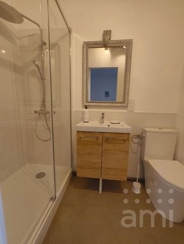 STUDIO MEUBLE - PLEIN CENTRE Rue des Vieilles Boucheries