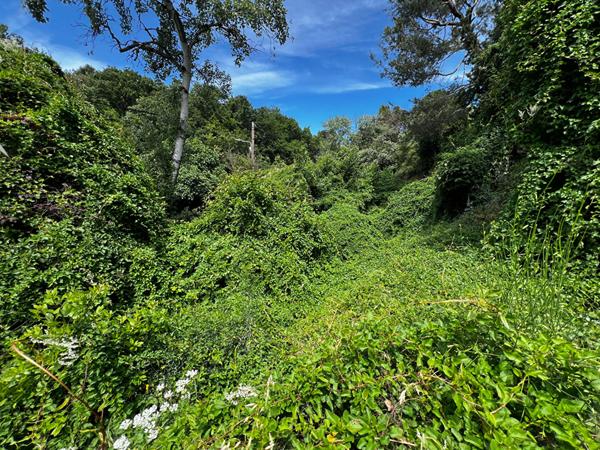 A VENDRE Villeneuve Les Avignon  Terrain constructible 1300 m²