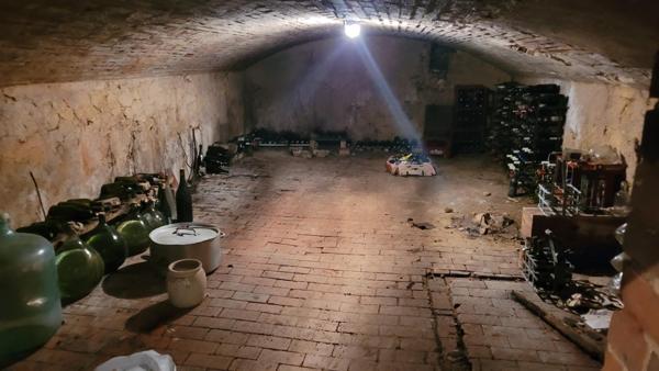 Maison à Savigny-sur-Braye, 41360 - 6 pièces 240m²