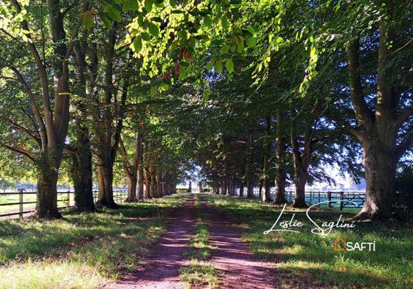 Haras historique et son emblématique villa