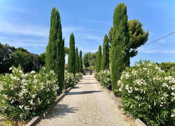 Mas de 219m2 au milieu des vignes
