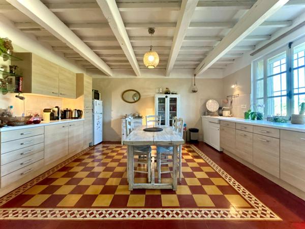 Mas de 219m2 au milieu des vignes