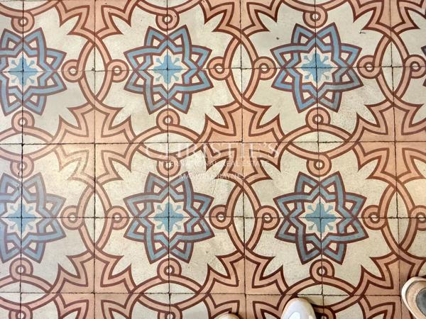 Élégante maison de ville de prestige, 8 chambres et un appartement 2 chambres, avec grand parc et vue sur le château