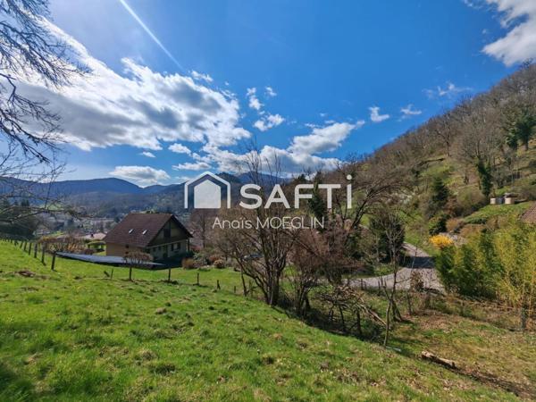 Terrain en bordure de forêt avec vue dégagée