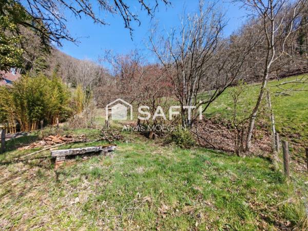 Terrain en bordure de forêt avec vue dégagée