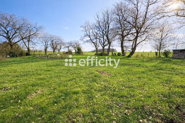 Maison 7 pièces - 125 m²