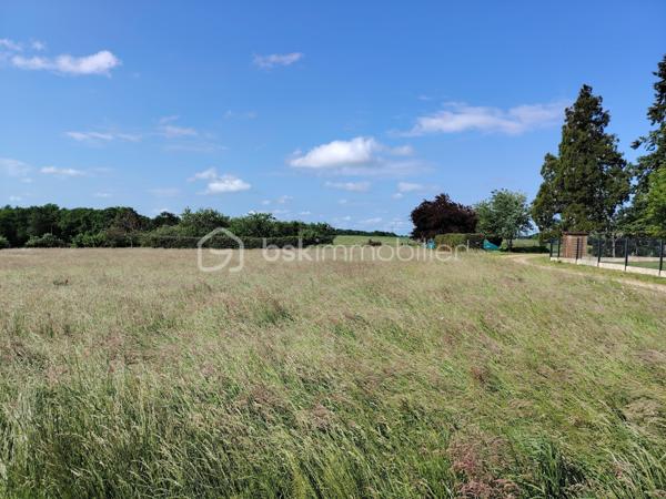 🌳 Opportunité à Crotelles (37380) : Terrain Constructible de 1349 m²
Amboise et Tours 20 min, Château-Renault à 5 min

Vous rêvez de construire votre futur foyer dans un cadre préservé, alliant sérénité et nature ? 
Découvrez ce magnifique terrain plat situé sur la charmante commune de Crotelles, au cœur d’un environnement privilégié.

✨ Les points forts du terrain :
Surface généreuse : 1349 m² pour réaliser tous vos projets (maison spacieuse, jardin, piscine).
Topographie idéale : Terrain plat, facilitant les travaux de terrassement et de construction.
Sérénité garantie : Situé dans une zone calme avec très peu de passages, offrant un cadre de vie paisible et familial.
Vue & Nature : Profitez d'une vue dégagée sur les paysages environnants 
Sécurité technique : Étude de sol G1 déjà réalisée.

📍 Localisation & Cadre de vie :
Crotelles est une commune recherchée pour sa qualité de vie, à deux pas de Monnaie et ses commerces et des axes vers Tours et accès autoroute A 10 
Éducation : École primaire au sein de la commune, idéal pour les familles.
Loisirs verts : Directement accessible pour les amoureux de plein air avec de nombreux chemins de randonnée (marche et vélo) au départ du terrain.
Atmosphère : Un environnement verdoyant et authentique pour une déconnexion totale après le travail.

Prix & Informations : Non viabilisé, réseaux bords de route.
Contactez-moi dès maintenant pour organiser une visite et projeter votre futur chez-vous.
📞 Contact : 06 87 30 45 44