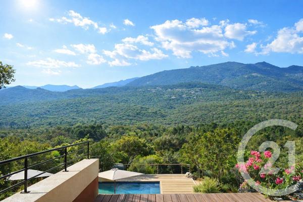 Maison à vendre  11 pièces - 275 m2 SOTTA - 201