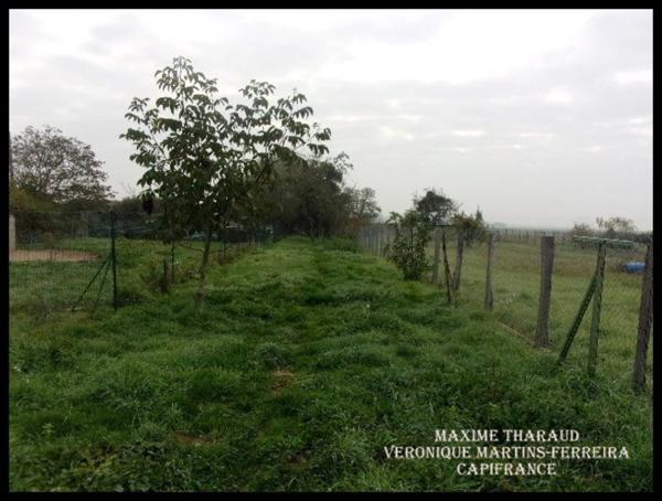 SAINT BAUDEL (18) à vendre lot de 2 maisons