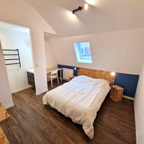 Colocation chambre avec SDB privée dans agréable maison avec terrasse à Lille