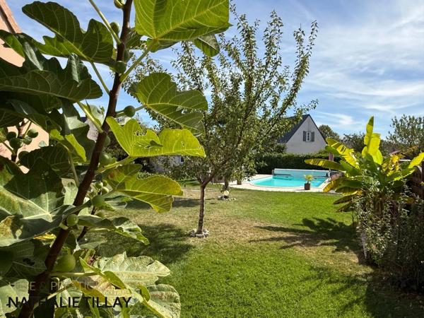 SAINT PRYVE SAINT MESMIN, maison a vendre, piscine et jardin