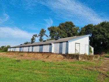 Bien agricole à vendre à Maël-Pestivien dans les Côtes-d'Armor (22160), ref : 29066-