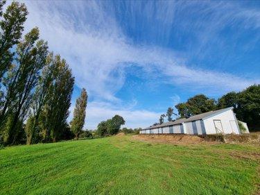 Bien agricole à vendre à Maël-Pestivien dans les Côtes-d'Armor (22160), ref : 29066-