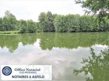 Terrain de loisirs - Bois - Etang à vendre à Fraillicourt dans les Ardennes (08220), ref : 021/1750