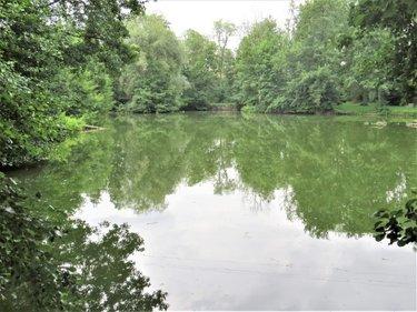 Terrain de loisirs - Bois - Etang à vendre à Fraillicourt dans les Ardennes (08220), ref : 021/1750