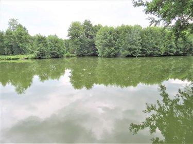 Terrain de loisirs - Bois - Etang à vendre à Fraillicourt dans les Ardennes (08220), ref : 021/1750