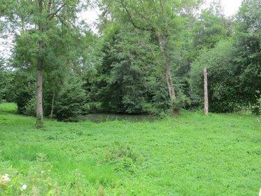 Terrain de loisirs - Bois - Etang à vendre à Fraillicourt dans les Ardennes (08220), ref : 021/1750