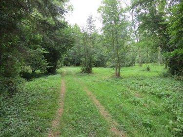 Terrain de loisirs - Bois - Etang à vendre à Fraillicourt dans les Ardennes (08220), ref : 021/1750