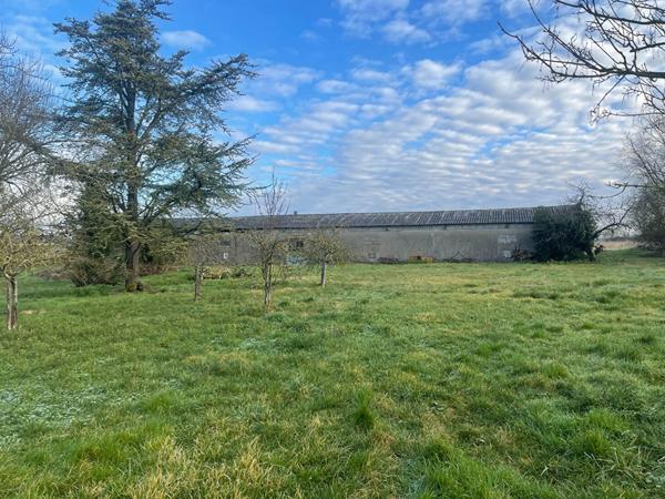 86110 AMBERRE Corps de ferme sur plus de 3Hectares- maison 225m².