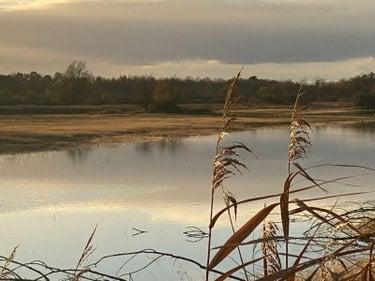 Étang à vendre à Lingé dans l'Indre (36220), ref : 1049787