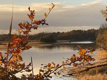 Étang à vendre à Lingé dans l'Indre (36220), ref : 1049787