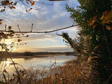 Étang à vendre à Lingé dans l'Indre (36220), ref : 1049787