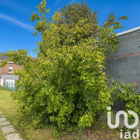 Maison à vendre 6 pièces 112 m² Orchies