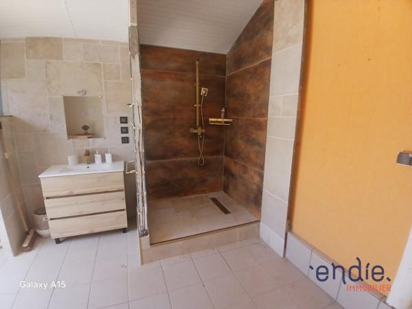 Maison de plain pied de 162 m² avec piscine, pool house, double garage à HAGETMAU