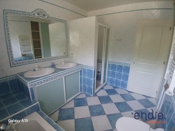 Maison de plain pied de 162 m² avec piscine, pool house, double garage à HAGETMAU