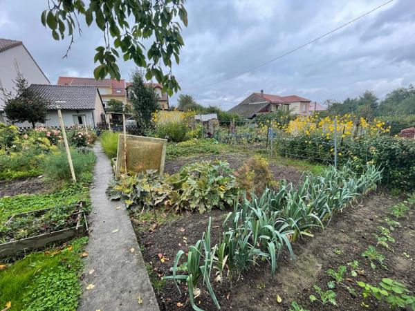 grande surface habitable