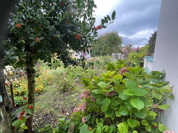 grande surface habitable