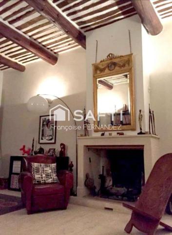 Mas de caractère T9, piscine, possibilité projet professionnel