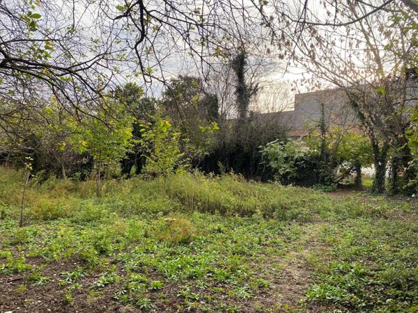 Particuliers ou professionnels, venez découvrir cette maison de 68m2 (surface plancher 90m2) sur un terrain de 2 255m2