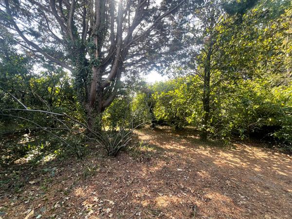 PESSAC- MONTEIL. Maison traditionnelle à étage - 5 chambres - Jardin - Grands garages