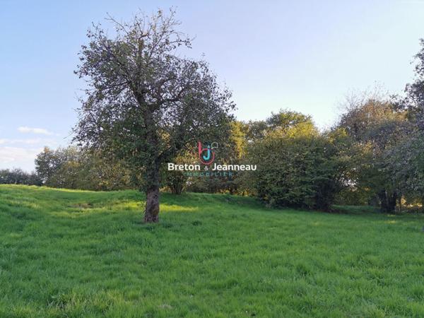 Maison avec annexe sur 2.5ha à Jublains