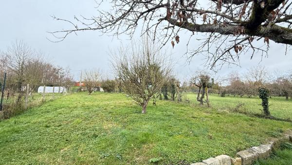 NOAILLES Maison, Séjour, salle à manger, Cuisine, 2 chambres, Salle d'eau, Grenier, Garage, dépendance, cave, Jardin