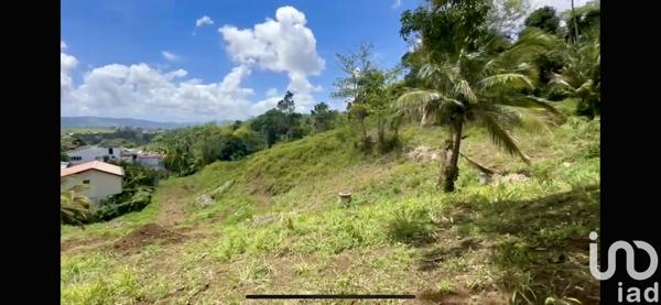 Terrain à vendre 556 m² Fort-de-France