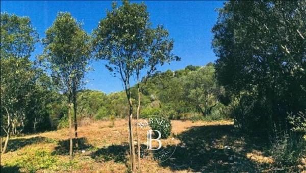 Bonifacio, Terrain  1 390 m² à vendre