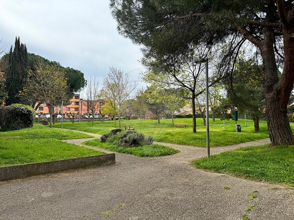 Appartement  à louer - Haute-Garonne - 31