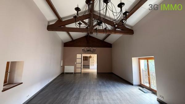 Vente / Ensemble de 2 maisons à Cordes-sur-Ciel (81170)