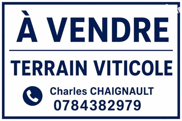 TERRAIN VITICOLE