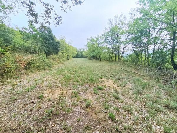 Corps de Ferme en pierre 180m², dépendances, sur terrain de 23 809m², 418 000 HAI