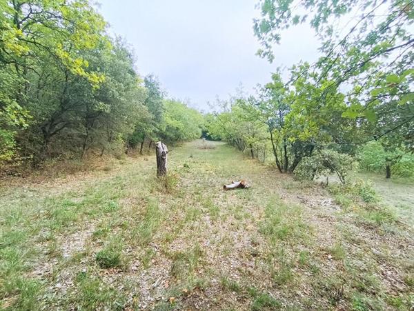 Corps de Ferme en pierre 180m², dépendances, sur terrain de 23 809m², 418 000 HAI